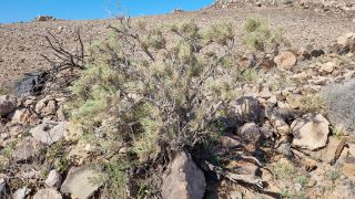 2024-02-GranCan-Playa Del Aguila-Trek-17.jpg